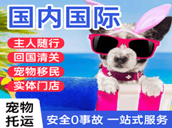 长治空运国际宠物托运 【国